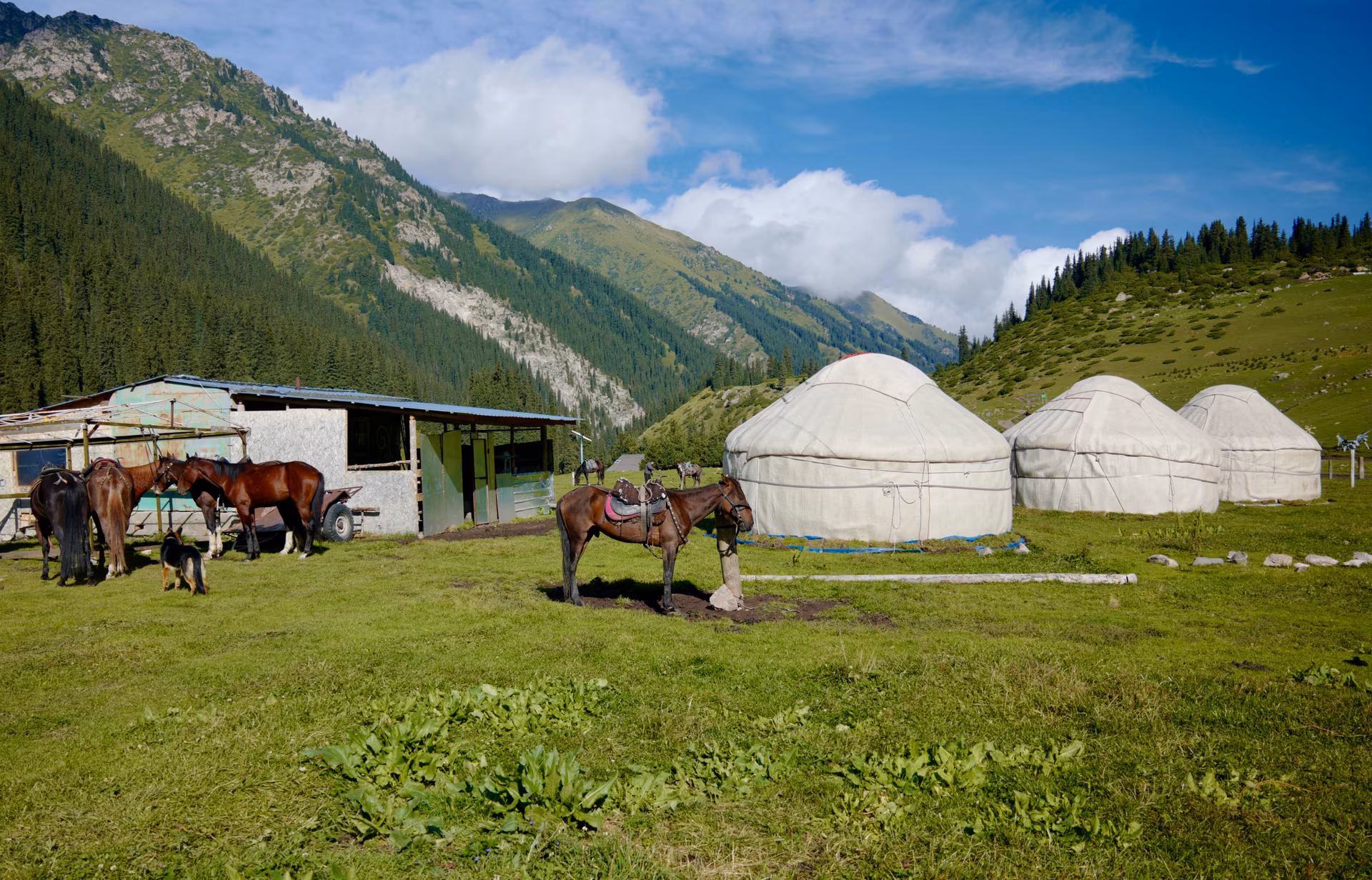 Blue Pearls of Kyrgyzstan