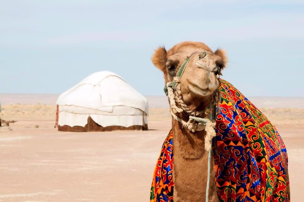 The Wonders of the Silk Road: Ouzbékistan and Kirghizistan