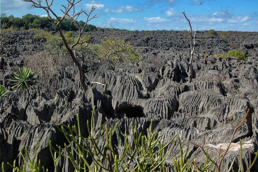 Ankarana National Park
