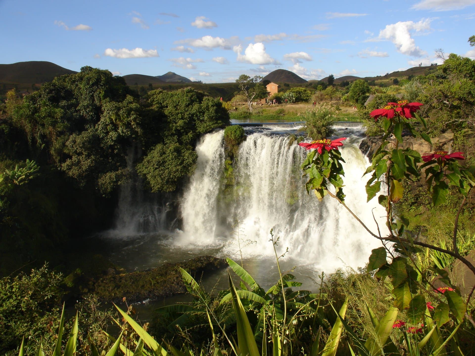 Lily Falls