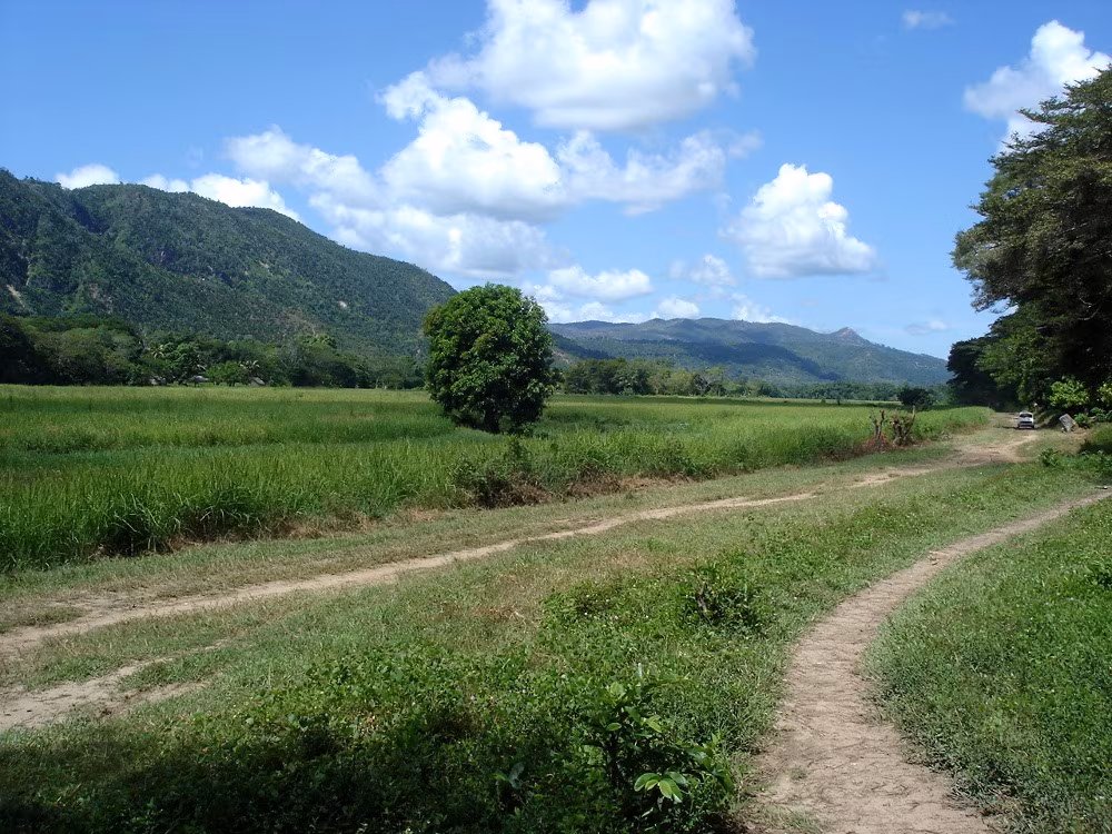 Discovery of the North-West and Immersion in Sambirano